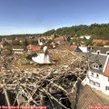 14_25-nest.jpg