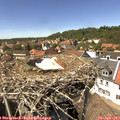 14_30-nest.jpg
