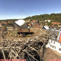 14_40-nest.jpg