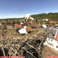 14_45-nest.jpg