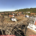 15_00-nest.jpg