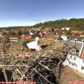 15_05-nest.jpg