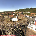 15_10-nest.jpg