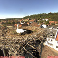 15_25-nest.jpg