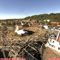 15_35-nest.jpg