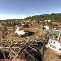 15_45-nest.jpg