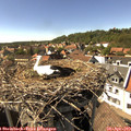 15_55-nest.jpg