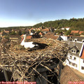 16_00-nest.jpg