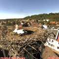 16_05-nest.jpg