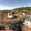 16_10-nest.jpg