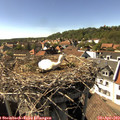 16_15-nest.jpg
