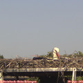 16_20-mast.jpg