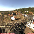 16_30-nest.jpg