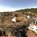 16_40-nest.jpg