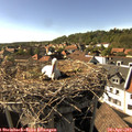 16_45-nest.jpg