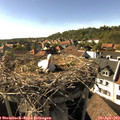 17_10-nest.jpg