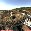 17_25-nest.jpg
