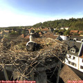 17_35-nest.jpg