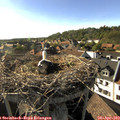 17_45-nest.jpg