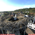18_10-nest.jpg