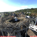 18_15-nest.jpg