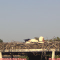 18_20-mast.jpg