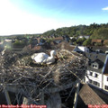 18_35-nest.jpg