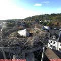 18_45-nest.jpg