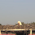 19_10-mast.jpg