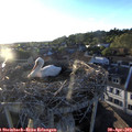 19_45-nest.jpg