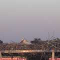 20_25-mast.jpg