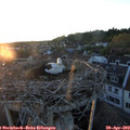 20_25-nest.jpg