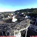 07_10-nest.jpg