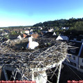 07_15-nest.jpg