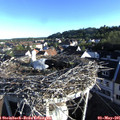 07_20-nest.jpg
