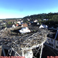 07_25-nest.jpg