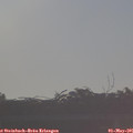 07_30-mast.jpg