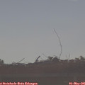 08_05-mast.jpg