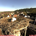 08_05-nest.jpg