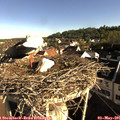 08_10-nest.jpg
