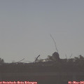 08_15-mast.jpg