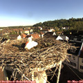 08_15-nest.jpg
