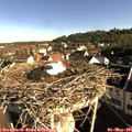 08_20-nest.jpg