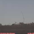 08_25-mast.jpg