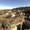 08_25-nest.jpg