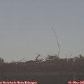 08_30-mast.jpg