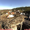 08_30-nest.jpg