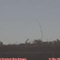 08_35-mast.jpg