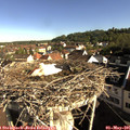 08_35-nest.jpg