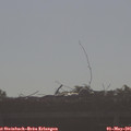 08_40-mast.jpg